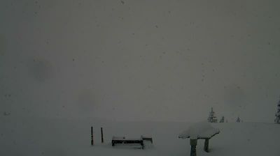 Live webcam in unknown, 캐나다