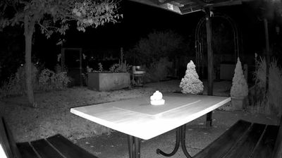 Webcam Salzburg › South-west: Untersberg