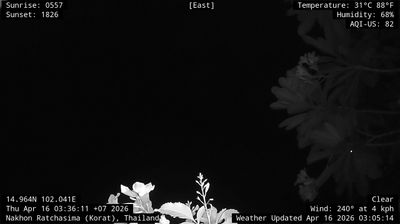 บ้านใหม่ › ตะวันออก