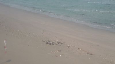 Live webcam in Iwami, Japão