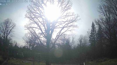 Live webcam in Wilton, Amerikas Forenede Stater