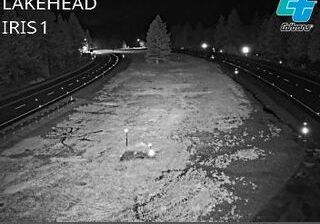 Live webcam in Pollock, ایالات متحده آمریکا