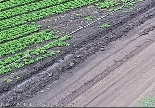Live webcam in Miller, संयुक्त राज्य अमेरिका