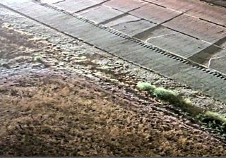 Live webcam in San Martin, Amerikas Forenede Stater
