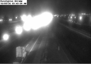 Edgemont › South: I-215 : (271) Eucalyptus