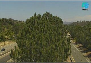 Live webcam in San Diego, Združene države Amerike
