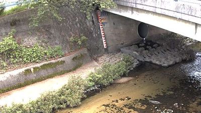 Live webcam in Jonan Ward, Japó