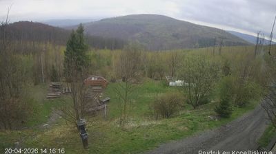 Jarnoltowek › North-east