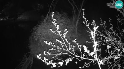 Live webcam in ลูบลิยานา, ประเทศสโลวีเนีย