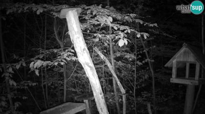 Live webcam in Ljubljana, Slovenija