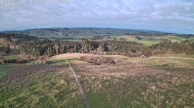 Waihopai Toetoe Community › Syd