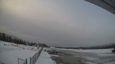 Live webcam in Faro, کانادا