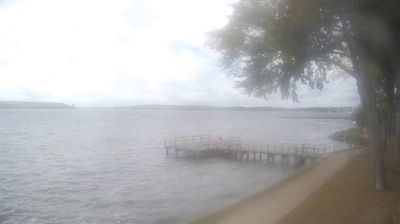 Waren: Livespotting - Webcam am Seeufer der Müritz in Mecklenburg-Vorpommern