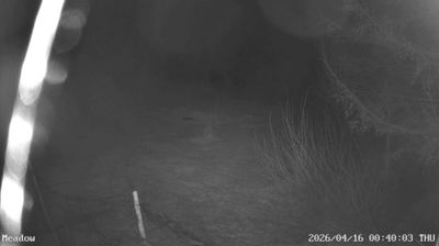 Live webcam in Årjäng, 스웨덴