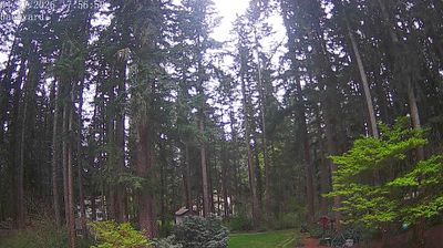 Live webcam in Covington, ایالات متحده آمریکا