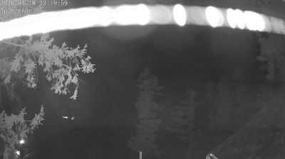 Live webcam in Area A, Canadà