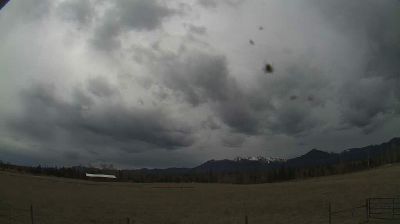 Live webcam in Area E, Canadà