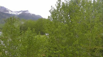 Live webcam in Moose Creek, Sjedinjene Američke Države