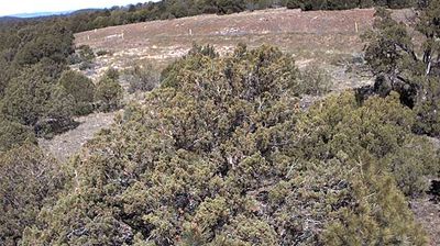 Williams › 서쪽: I-40 WB 158.94