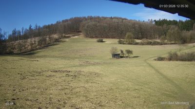 Horn-Bad Meinberg › West