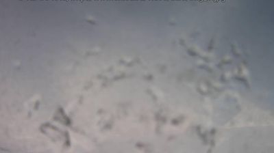 Live webcam in unknown, روسیه