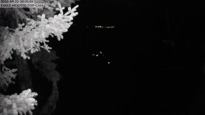 Live webcam in Juneau, Estats Units d'Amèrica