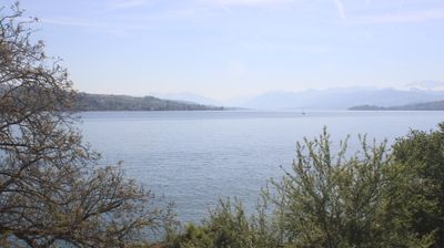 Live webcam in Thalwil, Suïssa