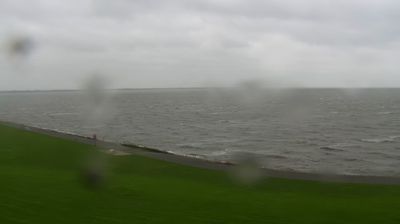 Busumer Deichhausen: Livespotting - Live am Wattenmeer der Nordsee an der Meldorfer Bucht