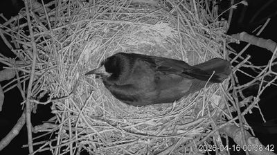 Live webcam in Jever, Germania