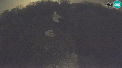 Live webcam in Cigoc, Croacia