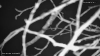 Live webcam in Dinkelsbuhl, Alemanya