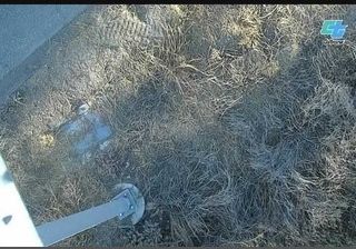 Live webcam in Pala Mesa, Shtetet e Bashkuara të Amerikës
