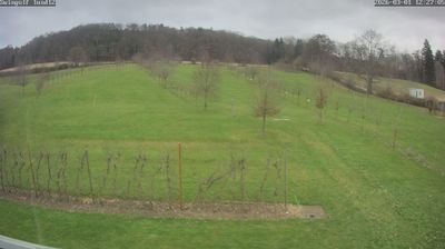 Deggenhausertal: Bodensee SwinGolf - Spielbetrieb ab 21.04.21