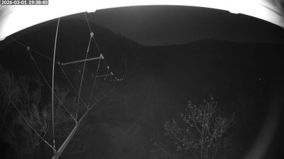 Bad Harzburg: Livespotting - Live im Harz von der BaumSchwebeBahn in