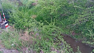 Live webcam in Mima, Japan