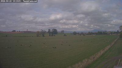 Deloraine › Sud-ovest: Quamby Bluff