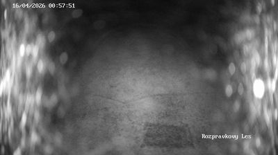 Live webcam in okres Námestovo, স্লোভাকিয়া