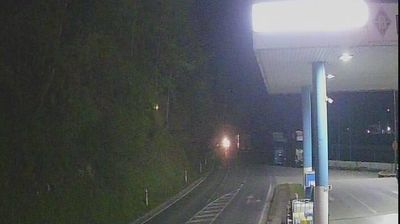 Pijavice: Jajce - BP Bojanić