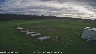 Rodney: Dairy Flat Highway