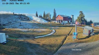 Camera Live Paltinis