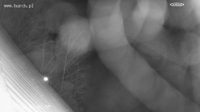 Live webcam in Zwierzyń, ประเทศโปแลนด์