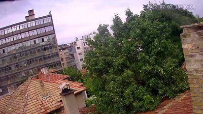 Rasgrad