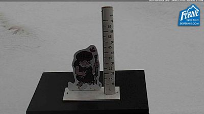 Live webcam in Area B, کانادا