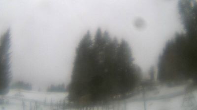 Luzein › East: Pany, Schwimmbad