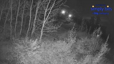 Pima County › Severovýchod: Mt Lemmon Ski Valley