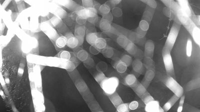 Live webcam in Borgo Lares, Italien