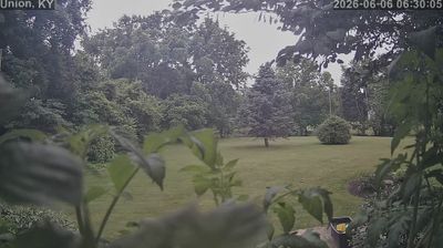 Live webcam in Union, United States
