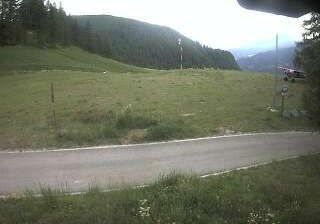Chamois