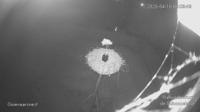 Live webcam in Vijfheerenlanden, Países Bajos