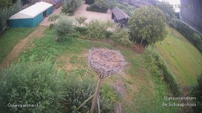 Vijfheerenlanden: Vogelwacht